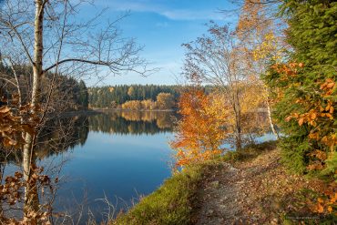 Fotokurs-Wanderwoche im Harz - Herbst 2017