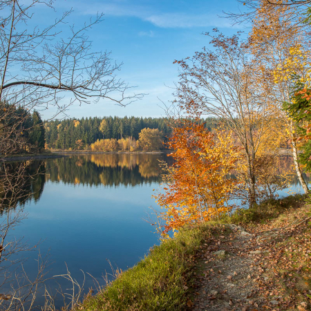 Fotokurs-Wanderwoche im Harz - Herbst 2017