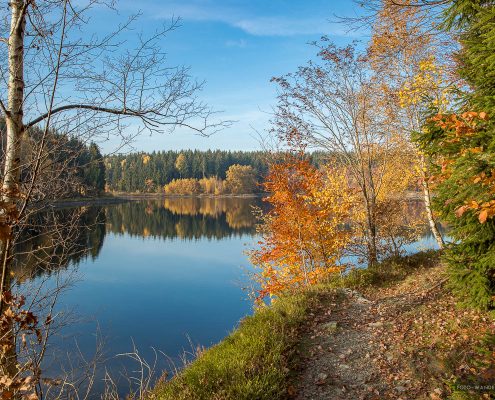 Fotokurs-Wanderwoche im Harz - Herbst 2017