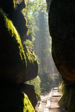 Fotokurs-Wochenende auf dem Malerweg - Juni 2017 © Frank Klemmer