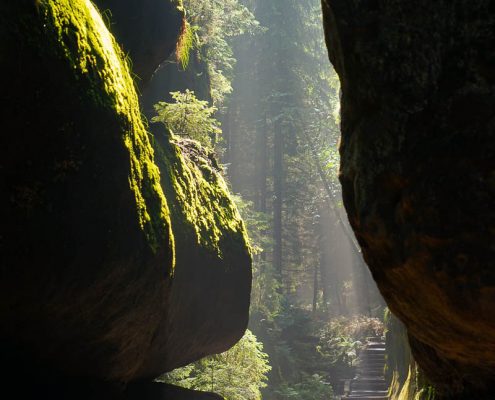 Fotokurs-Wochenende auf dem Malerweg - Juni 2017 © Frank Klemmer