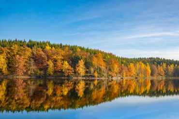 Fotokurs-Wanderwoche im Harz - Herbst 2017