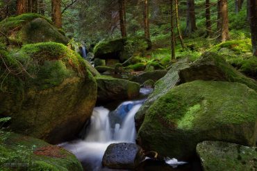 Wildbäche, Seen und Wasserfälle - Sommerfotokurse im Harz