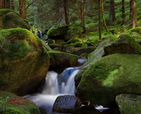Wildbäche, Seen und Wasserfälle - Sommerfotokurse im Harz