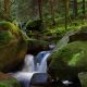 Wildbäche, Seen und Wasserfälle - Sommerfotokurse im Harz