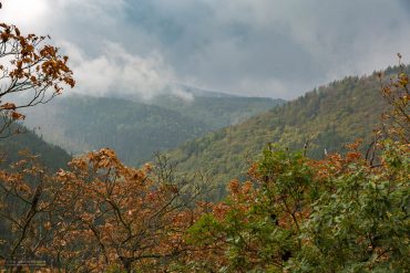 Landschaftsfotografie im Ilsetal, Harz