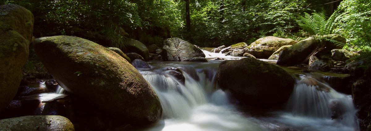 Landschaftsfotografie im Ilsetal, Harz