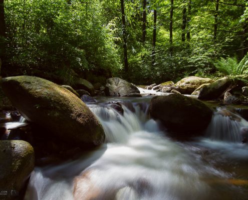 Landschaftsfotografie im Ilsetal, Harz