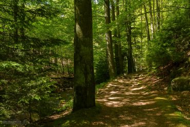 Landschaftsfotografie im Ilsetal, Harz