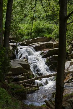 Landschaftsfotografie im Ilsetal, Harz
