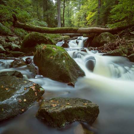 Landschaftsfotografie im Ilsetal, Harz