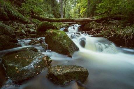 Landschaftsfotografie im Ilsetal, Harz