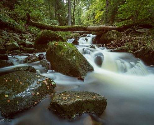 Landschaftsfotografie im Ilsetal, Harz