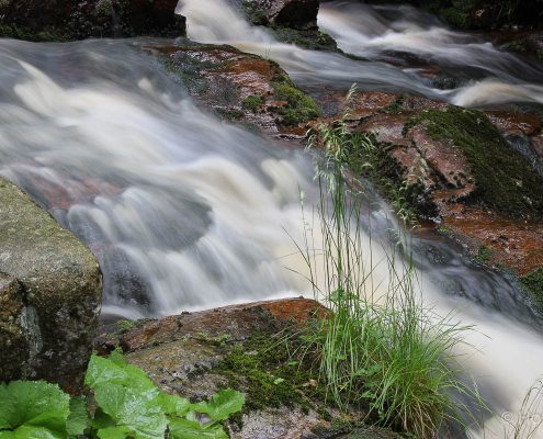 Fotokurs Langzeitbelichtung im Nationalpark Harz © Holger K.