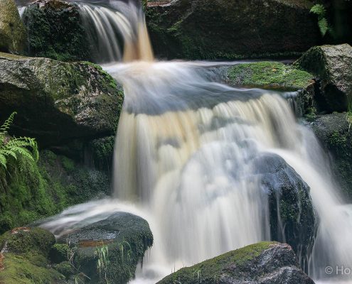 Fotokurs Langzeitbelichtung im Nationalpark Harz © Holger K.