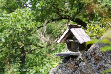 Fotokurs auf dem Klippen des Selketals
