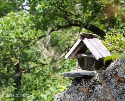 Fotokurs auf dem Klippen des Selketals