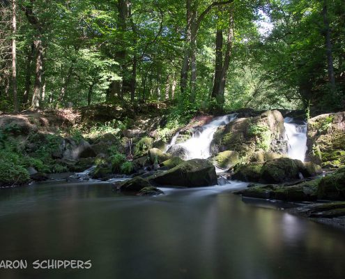 Fotokurs auf dem Klippen des Selketals