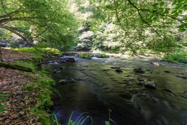 Fotowanderung durch das Bodetal, Harz © Horst-Dieter A.