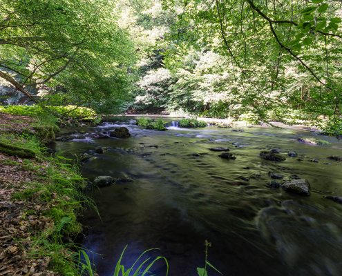 Fotowanderung durch das Bodetal, Harz © Horst-Dieter A.