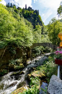 Fotowanderung durch das Bodetal, Harz © Horst-Dieter A.