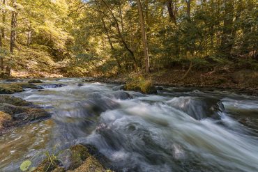 Fotowanderung durch das Bodetal, Harz © Horst-Dieter A. - bearbeitet mit NIK-Software