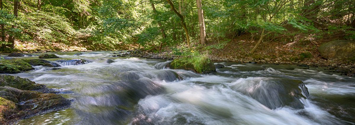 Fotowanderung durch das Bodetal, Harz © Horst-Dieter A.
