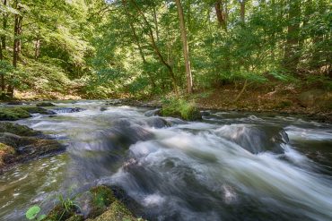 Fotowanderung durch das Bodetal, Harz © Horst-Dieter A.