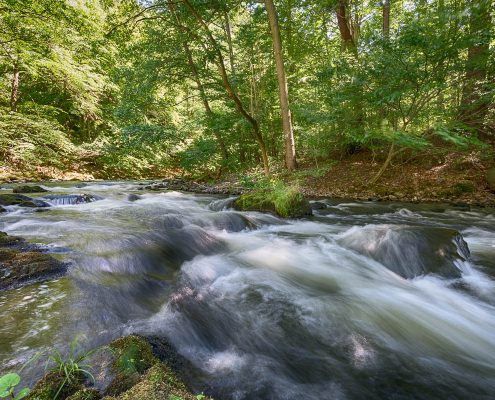 Fotowanderung durch das Bodetal, Harz © Horst-Dieter A.