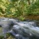 Fotowanderung durch das Bodetal, Harz © Horst-Dieter A.