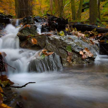 Fotowanderung durch das Bodetal