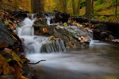 Fotowanderung durch das Bodetal