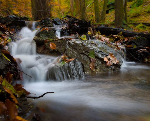 Fotowanderung durch das Bodetal