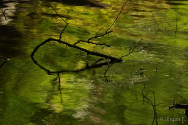 Fotoworkshop-Wochenende im Harz - Sommer 2017 © Jürgen T.