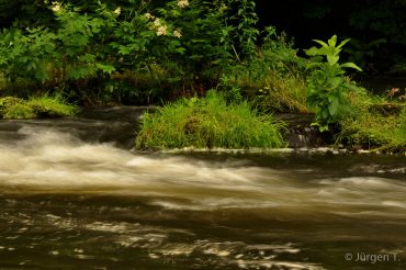 Fotoworkshop-Wochenende im Harz - Sommer 2017 © Jürgen T.