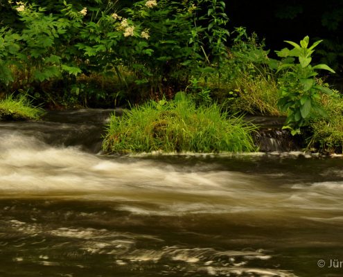 Fotoworkshop-Wochenende im Harz - Sommer 2017 © Jürgen T.