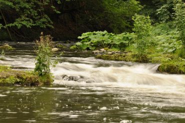 Fotoworkshop-Wochenende im Harz - Sommer 2017 © Jürgen T.