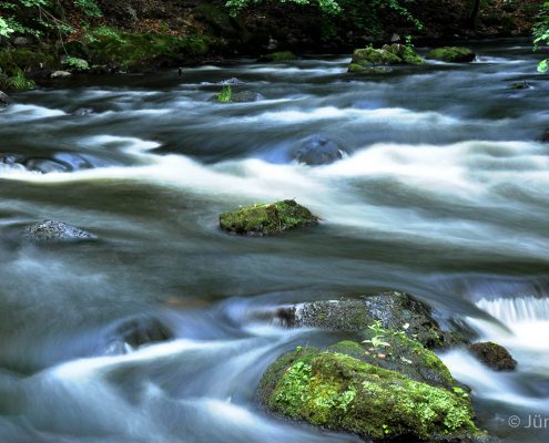 Fotoworkshop-Wochenende im Harz - Sommer 2017 © Jürgen T.