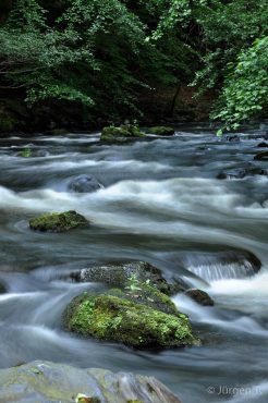 Fotoworkshop-Wochenende im Harz - Sommer 2017 © Jürgen T.
