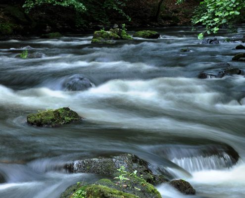 Fotoworkshop-Wochenende im Harz - Sommer 2017 © Jürgen T.