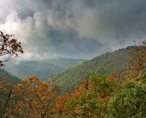 Wandertage Harzer-Hexen-Stieg und Malerweg mit Fotokurs