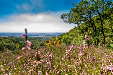 Fotokurs Landschaftsfotografie im Naturpark Südharz - Klippentour