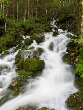 Fotokurs-Wanderwoche Berchtesgadener Land - Gletscherquellen