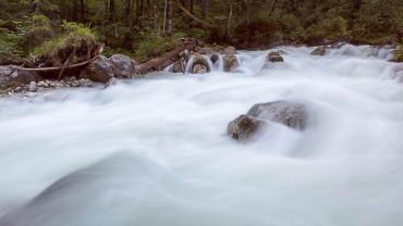 Fotokurs-Wanderwoche Berchtesgadener Land - im Zauberwald