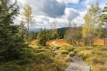 Fotowanderung auf dem Hohnekamm