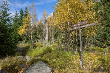 Fotowanderung auf dem Hohnekamm