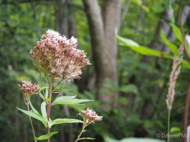 Fotokurs auf dem Himmelreich im Südharz