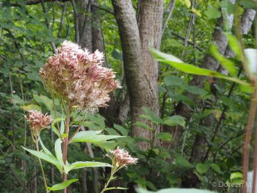 Fotokurs auf dem Himmelreich im Südharz