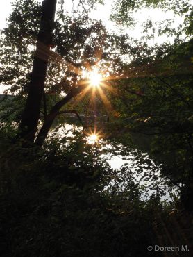 Fotokurs auf dem Himmelreich im Südharz