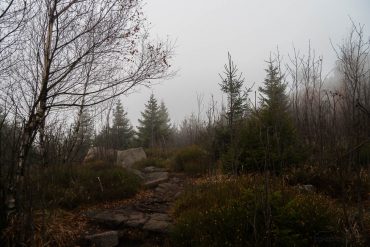 Fotowanderung auf dem Hohnekamm